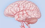 Как лечить гипертензивную энцефалопатию головного мозга, каковы ее проявления и диагностика