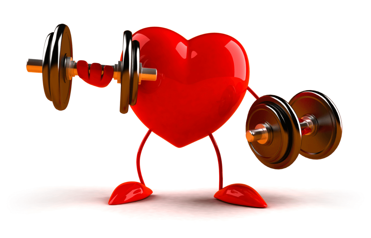 Здоровое сердце: как уберечь наш главный орган от болезней