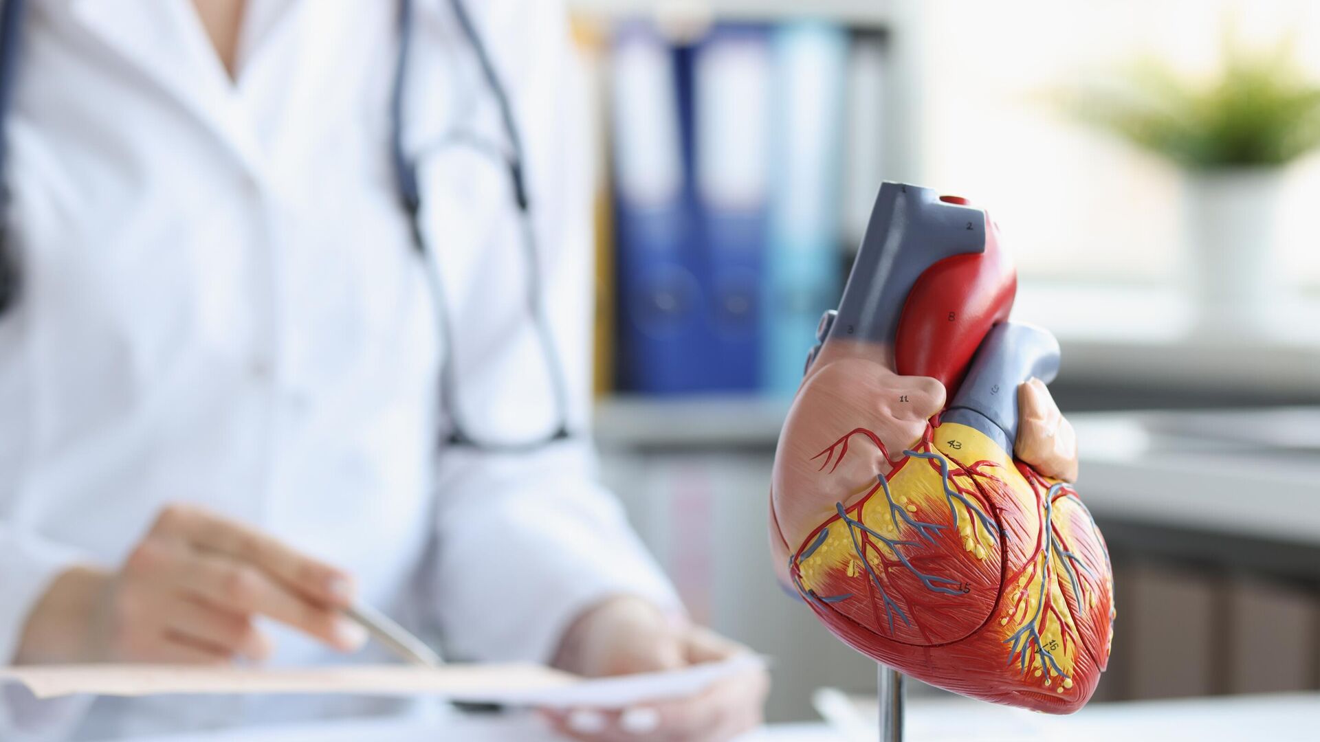 Правильная частота проверок сердца - как сохранить здоровье "мотора" организма